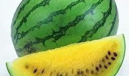 如何使用吃瓜网站,揭秘吃瓜网站的使用攻略