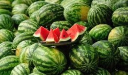 挖着吃的瓜,揭秘夏日消暑美食的奇妙之旅