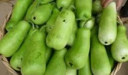 月子里可以吃葫芦瓜图片,月子期间葫芦瓜的营养美味之旅