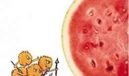 看大头吃烟瓜,一场奇妙的味蕾冒险之旅