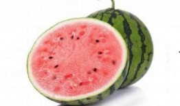 吃麒麟瓜的说说,探寻夏日消暑新宠