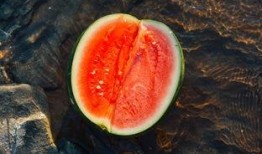 吃瓜漏子,那些被遗忘的瓜界传奇