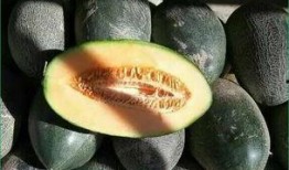 宝宝黄疸可以吃哈密瓜吗,宝宝黄疸期间的适宜水果选择