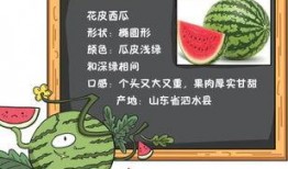 历史吃瓜记录,揭秘那些年我们津津乐道的宫廷八卦