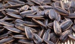 吃瓜子能吃瓜吗