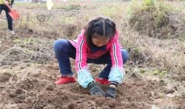 山建吃瓜,吃瓜群众揭秘校园热点事件