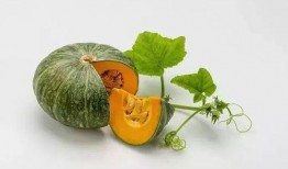 兰瓜宝宝怎么吃,解锁美味新体验