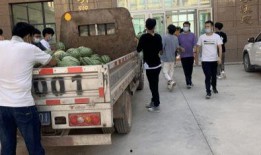 单县吃瓜新闻事件,一场引发全民热议的“瓜田风波”