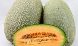 胃出血后可以吃哈密瓜吗
