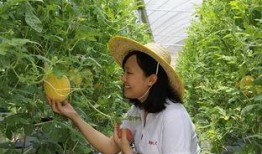 青州哪里吃瓜最好,探寻最佳吃瓜胜地