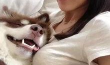 闺蜜吃瓜搞笑段子,笑料连连，揭秘娱乐圈那些事儿