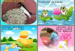 儿歌吃瓜教案中班