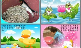 儿歌吃瓜教案中班